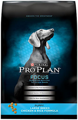 purina-focus