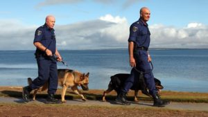Source:http://resources0.news.com.au/images/2011/07/18/1226097/052580-ceduna-foreshore-dog-patrol.jpg