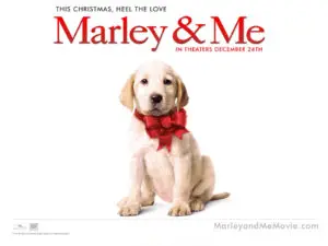 Marley-Me-marley-and-me-13563570-1600-1200