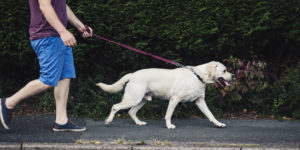 Man walking his dog