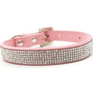 cute dog collars- princess