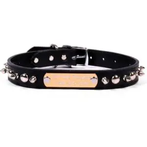 cute dog collars- tough