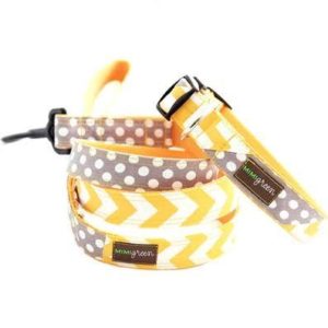 cute dog collars- trendy