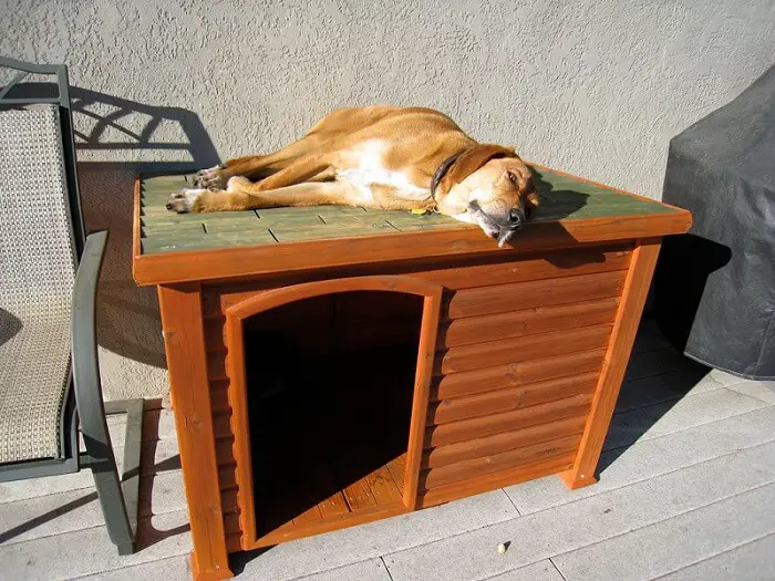 a lazy dog sleeping on a dog house