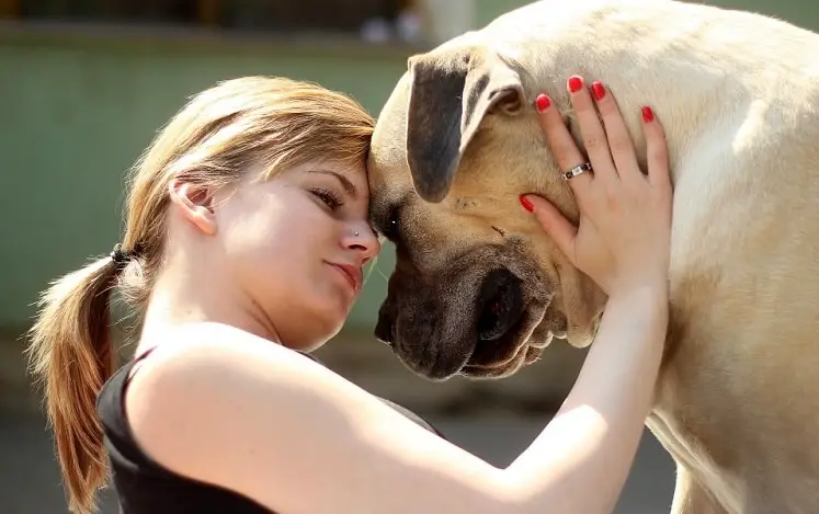 a woman calming her dog