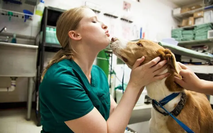 a young female vet kissing a dog