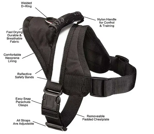 expawlorer harness for large dogs