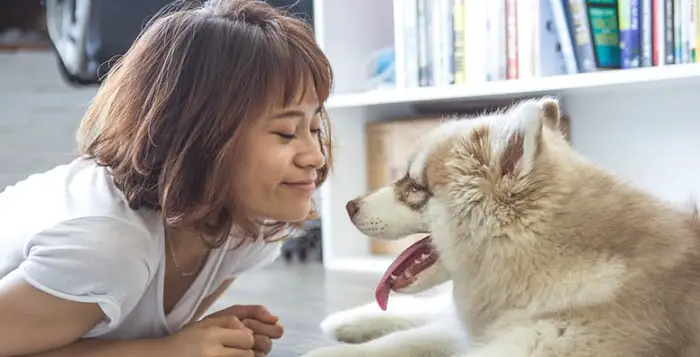 an Asian woman with a beautiful dog