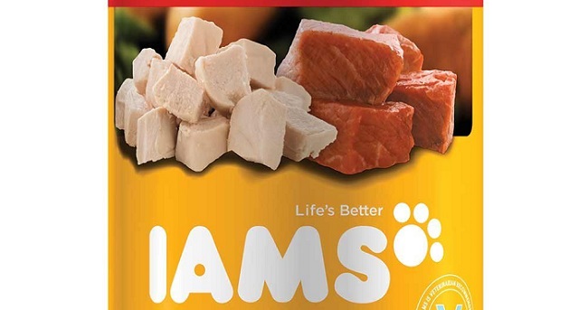 the IAMS logo from a can of dog food