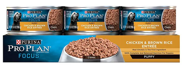 several cans of Purina dog food