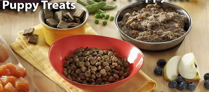 several bowls with wet and dry puppy food