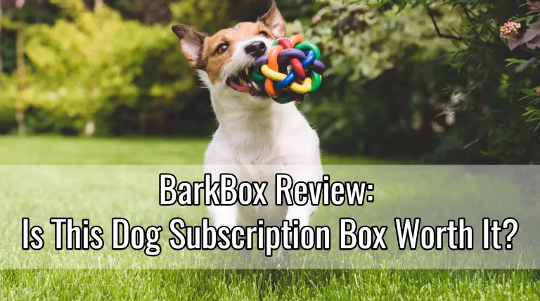 barkbox review