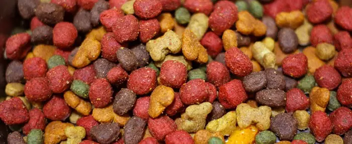 colorful dog food kibbles