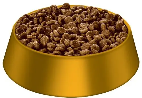 a small golden bowl of Hill's dry puppy food