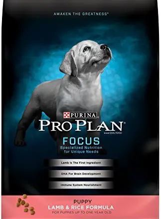 a small black and blue package of Purina dog food