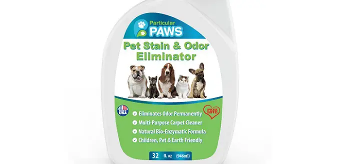 a pet stain and odor remover