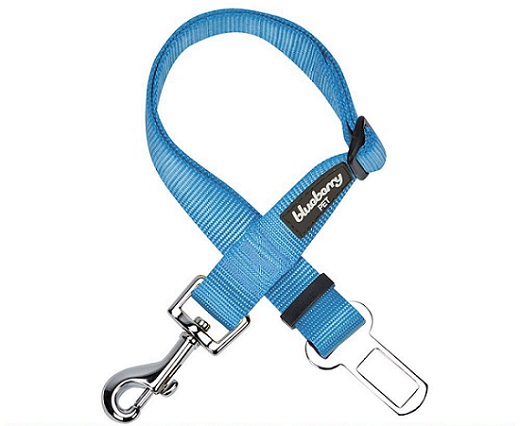 a Blueberry pet solid color collar