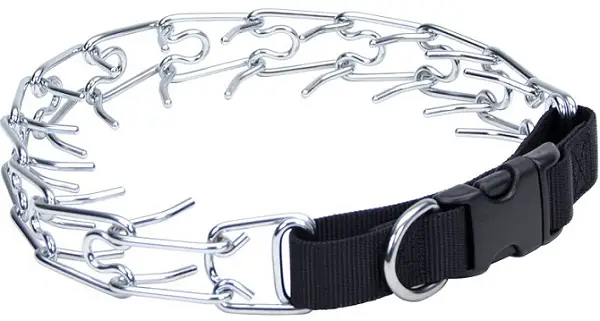 a Coastal Pet Easy-On Dog Prong Training Collar with Buckle