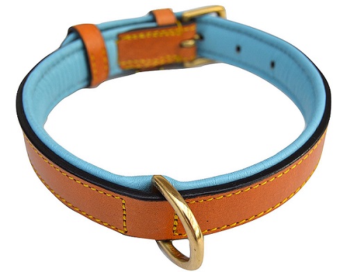 a brown and blue Soft Touch Luxury Real Leather Padded Dog Collar