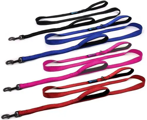 several Max and Neo Double Handle Reflective Dog Leashes in different colors