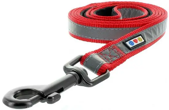 a red and gray Pawtitas Puppy Pet 6 - feet Reflective Padded Dog Leash