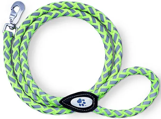 a blue and green SafetyPup XD Reflective Climbing Rope Leash