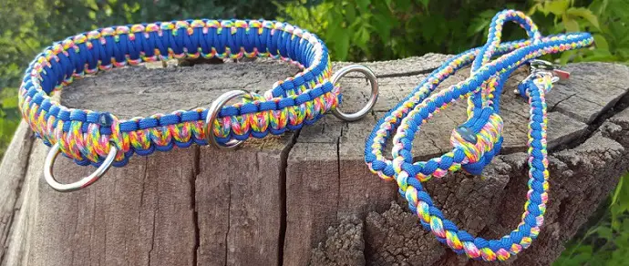 a colorful dog collar next to a dog leash on a log