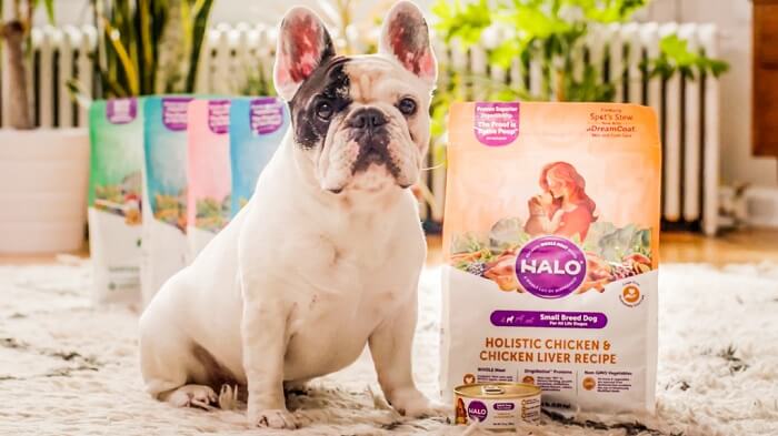 dog in a living room surrounded by bags with halo dog treats