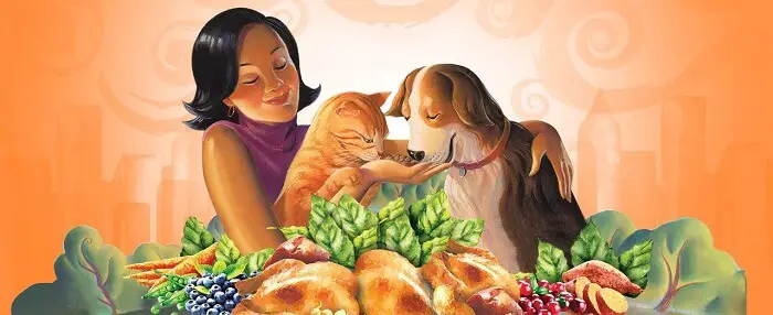halo brand illustration with woman caring for a dog and cat in front of a table full of nutritional foods