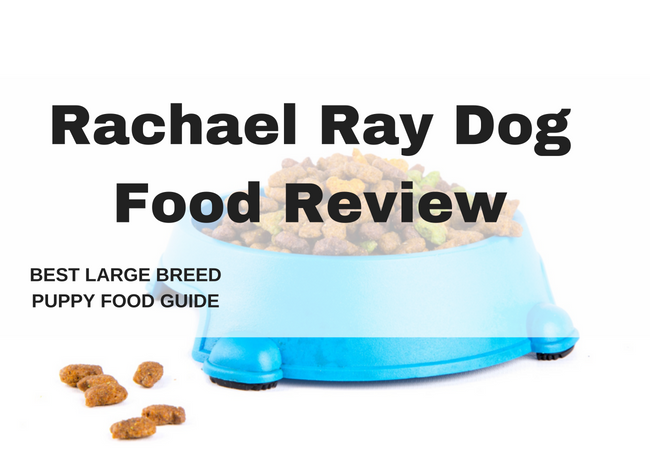 rachael ray dog food-Dry dog Food