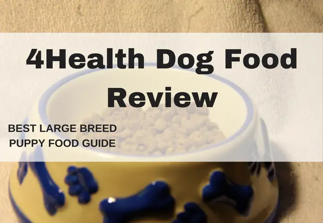 4health dog food- Dog food put in the dog bowl