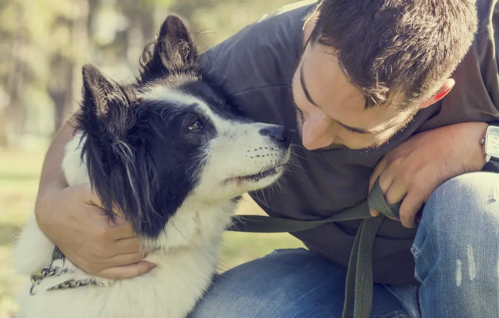 man talking to a dog