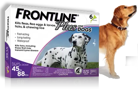 Frontline plus