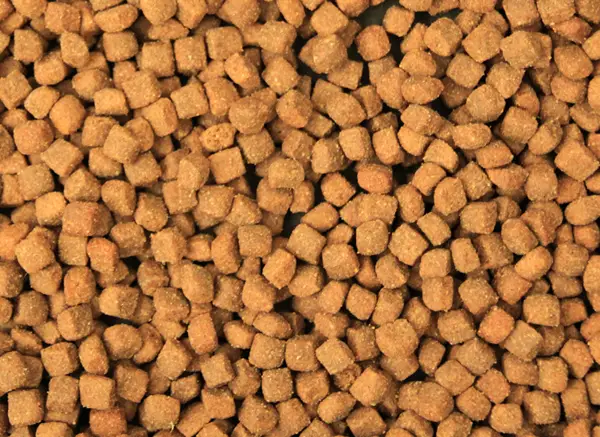 Dry food for dogs