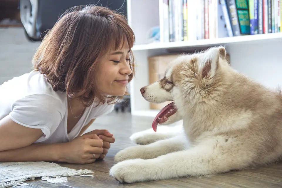 A girl and a dog looking at each other