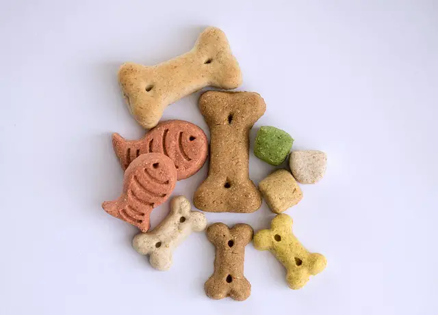 assorted dog treats